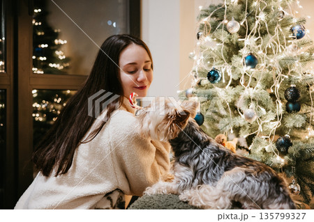 Festive Christmas moment at home - a young white woman sharing a cozy, joyful evening with a small dog Yorkshire terrier near a decorated Christmas tree, warm lights, hygge mood and holiday lifestyle. Festive Christmas moment at home - a young white woman sharing a cozy, joyful evening with a small dog Yorkshire terrier near a decorated Christmas tree, warm lights, hygge mood and holiday lifestyle. 135799327