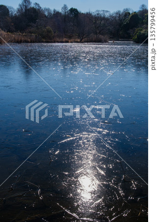 凍る日差し 135799456