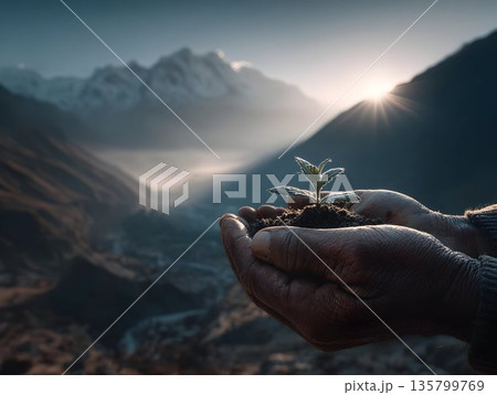 Weathered farmer's hands holding delicate green seedling, dark rich soil clinging to skin, representing agricultural care and environmental stewardship, the connection between humans and nature 135799769