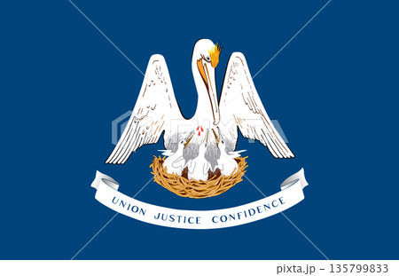 Louisiana official state flag. Part of The United States of America. Clean design for print, web, or educational use. Vector illustration. 135799833