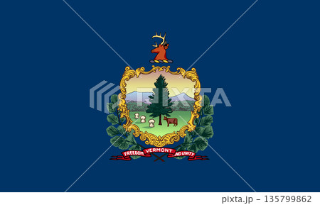 Vermont official state flag. Part of The United States of America. Clean design for print, web, or educational use. Vector illustration. 135799862