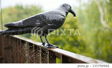 Metal raven bird sculpture on wooden balcony railing Metal raven bird sculpture on wooden balcony railing 135799988