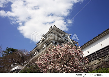 春の郡上城 春の郡上城 135800600