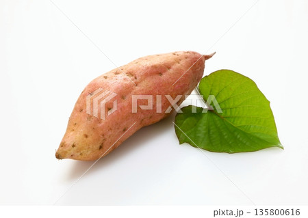 採れたてのサツマイモ（安納芋） 135800616