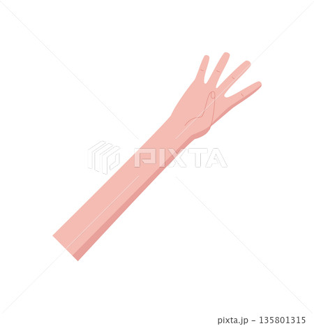 Flat human hand gesture. Bare palm with four fingers up and open. Minimalistic hand pose counting number four. Gesture shows light skin tone, isolated on white background, simple style, can be used Flat human hand gesture. Bare palm with four fingers up and open. Minimalistic hand pose counting number four. Gesture shows light skin tone, isolated on white background, simple style, can be used 135801315