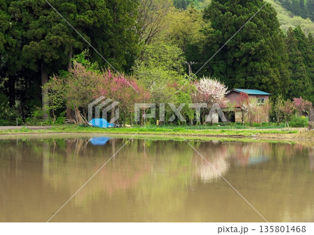 春の風景 135801468