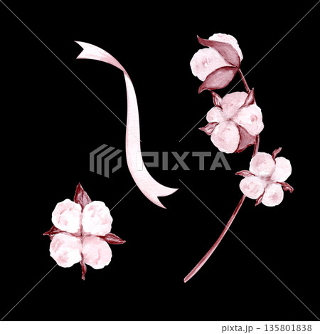 Cotton flowers and flowing ribbon watercolor set hand-painted in muted blush tones isolated on black. Ideal for surface patterns, textile design, branding, packaging, stationery, elegant modern decor Cotton flowers and flowing ribbon watercolor set hand-painted in muted blush tones isolated on black. Ideal for surface patterns, textile design, branding, packaging, stationery, elegant modern decor 135801838