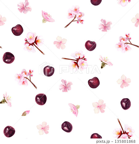 Seamless pattern with small cherry branches, blossom flowers, single petals and ripe cherries, hand painted watercolor illustration isolated on white background, spring design for textiles decor use 135801868