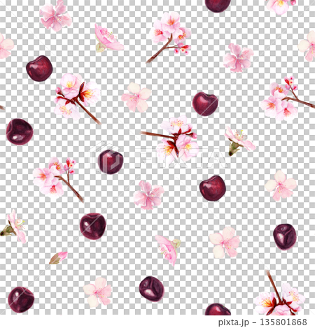 Seamless pattern with small cherry branches, blossom flowers, single petals and ripe cherries, hand painted watercolor illustration isolated on white background, spring design for textiles decor use 135801868