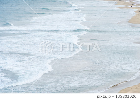 「青森県」大須賀海岸・種差海岸の風景　八戸市 135802020