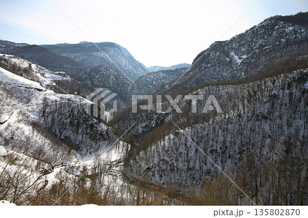 Under The Snow In A Winter Day 135802870