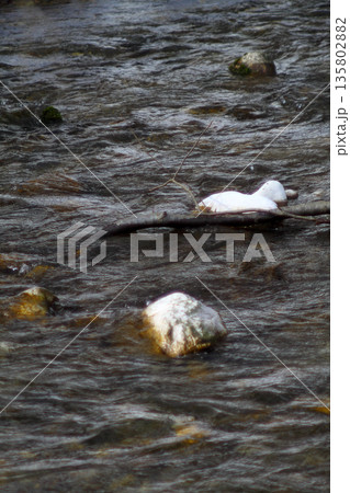 Under The Snow In A Winter Day 135802882