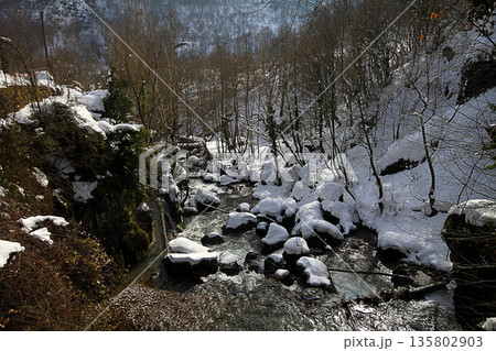 Under The Snow In A Winter Day 135802903