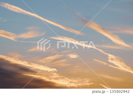 飛行機雲の跡がたくさんある夕暮れの空　a-4 クールカラー 135802942