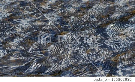 透明な川の水面模様 透明な川の水面模様 135802956