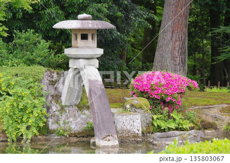 兼六園 徽軫灯籠 兼六園 徽軫灯籠 135803067