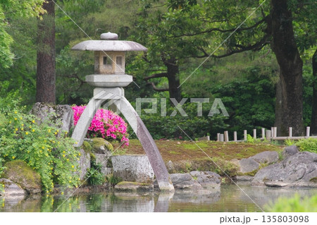 兼六園 徽軫灯籠 兼六園 徽軫灯籠 135803098