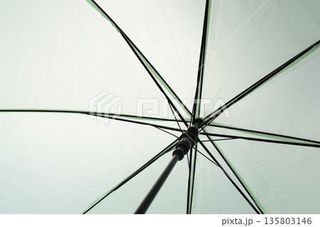 surface of open green umbrella background 135803146