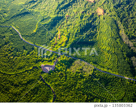 Aerial view green forest nature background Aerial view green forest nature background 135803362