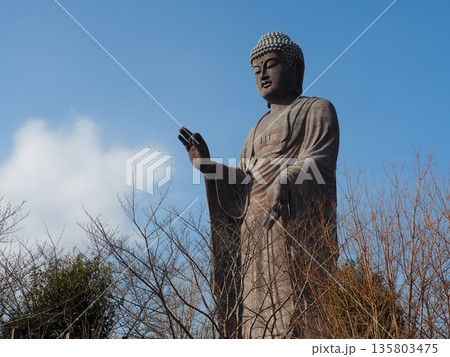 牛久大仏 135803475