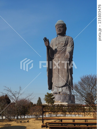 牛久大仏 135803476