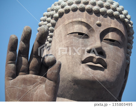 牛久大仏 牛久大仏 135803495