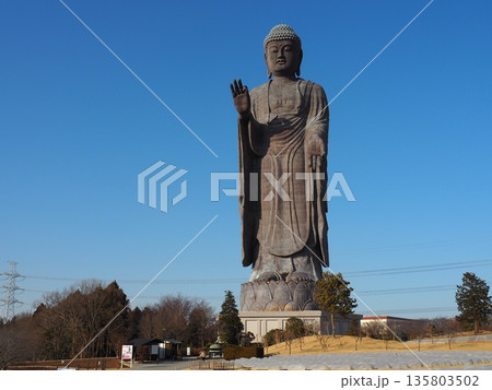 牛久大仏 135803502