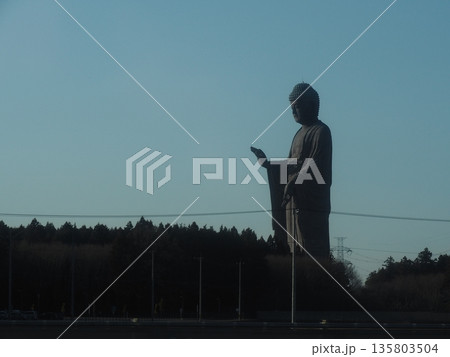 牛久大仏 牛久大仏 135803504