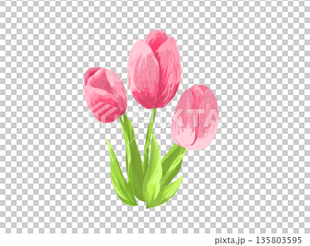 3本の手描きのピンクのチューリップ 135803595