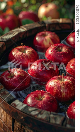 Red Apples Floating in Wooden Barrel in the Countryside Red Apples Floating in Wooden Barrel in the Countryside 135803876