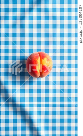 Peach on Light Blue Gingham Tablecloth 135804107