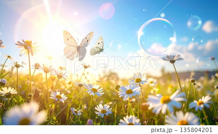 Sunny Meadow with Daisies, Small White Butterfly, and Bubbles Sunny Meadow with Daisies, Small White Butterfly, and Bubbles 135804201