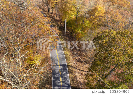 Forest road in North Carolina Appalachian mountains, USA. American highway in fall season Forest road in North Carolina Appalachian mountains, USA. American highway in fall season 135804903