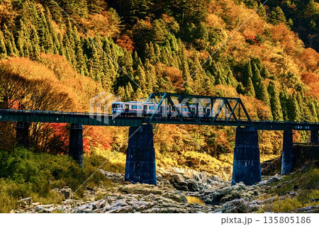 高山本線　紅葉 135805186