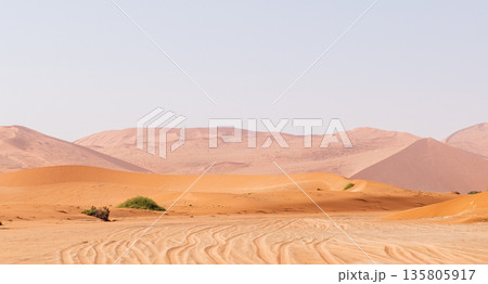 Desert landscape near Sossusvlei Desert landscape near Sossusvlei 135805917