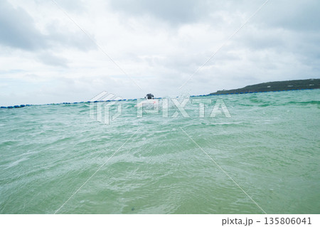 11 years old 135806041