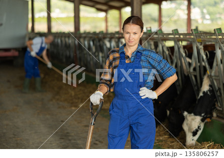 Portrait of woman working on livestock farm posing in cowshed near stall with herd of cows 135806257