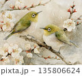 雪降る梅の枝に寄り添うメジロの冬景色 135806624
