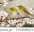 雪降る梅の枝に寄り添うメジロの冬景色 135806625