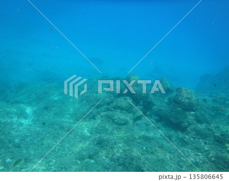 浅い海の底 浅い海の底 135806645