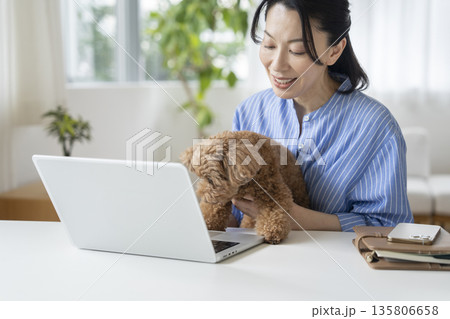 ノートパソコンで作業をするミドル女性とトイプードル　在宅勤務イメージ 135806658