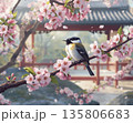 桜の枝に寄り添う小鳥のやさしい春の景色 135806683