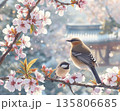 桜の枝に寄り添う小鳥のやさしい春の景色 135806685