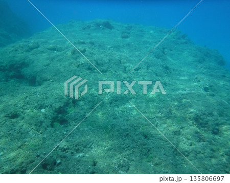海底の岩 135806697