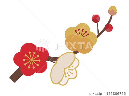 シンプルな梅の花枝_3色 シンプルな梅の花枝_3色 135806736