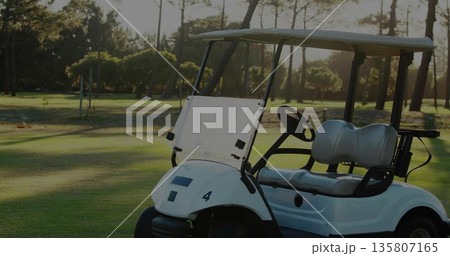 Resting white golf cart with canopy casting shadows on pine fairway under sunlight, copy space Resting white golf cart with canopy casting shadows on pine fairway under sunlight, copy space 135807165
