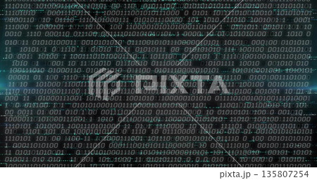 Displaying binary code streams scrolling across dark digital display, with alphanumeric characters 135807254