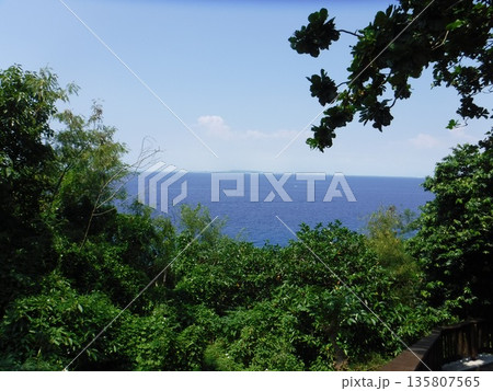 林の先の海 135807565