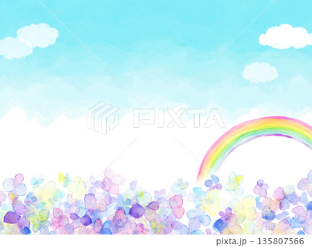 爽やかな紫陽花　背景背景 135807566