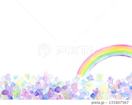 爽やかな紫陽花　背景背景 135807567